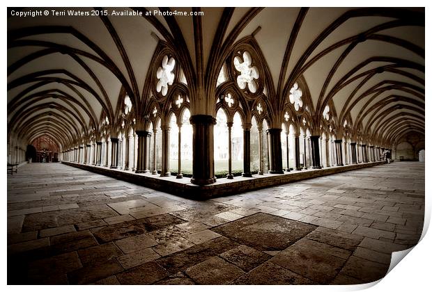  Salisbury Cathedral Cloisters Print by Terri Waters