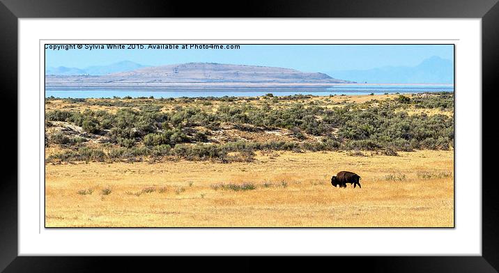 The Big Country Framed Mounted Print by Sylvia White