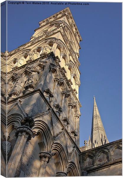  Salisbury Cathedral West Front And Spire Canvas Print by Terri Waters