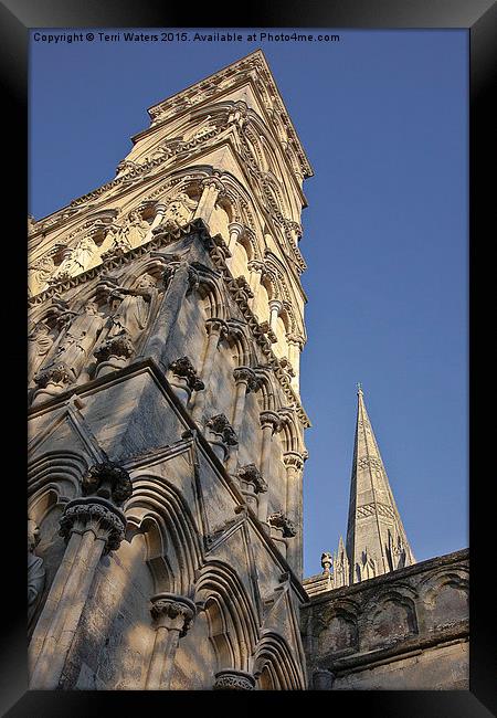  Salisbury Cathedral West Front And Spire Framed Print by Terri Waters