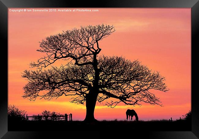  silhouette at sunset Framed Print by Ian Somerville