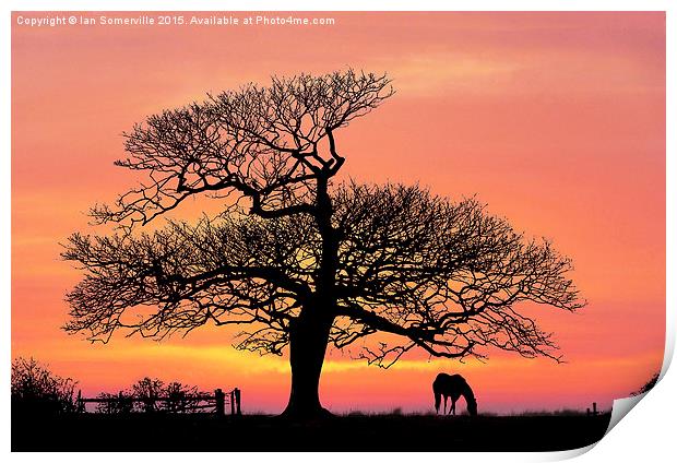  silhouette at sunset Print by Ian Somerville