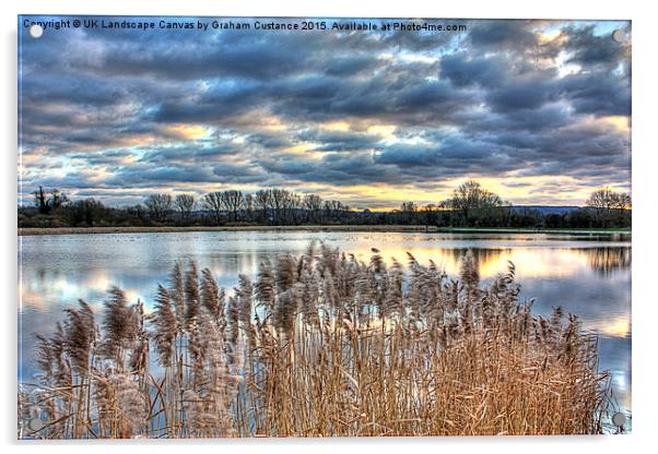  Reservoir Reeds Acrylic by Graham Custance