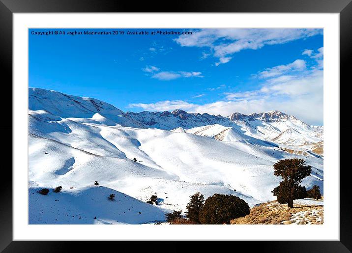  snowy mountain and trees, Framed Mounted Print by Ali asghar Mazinanian