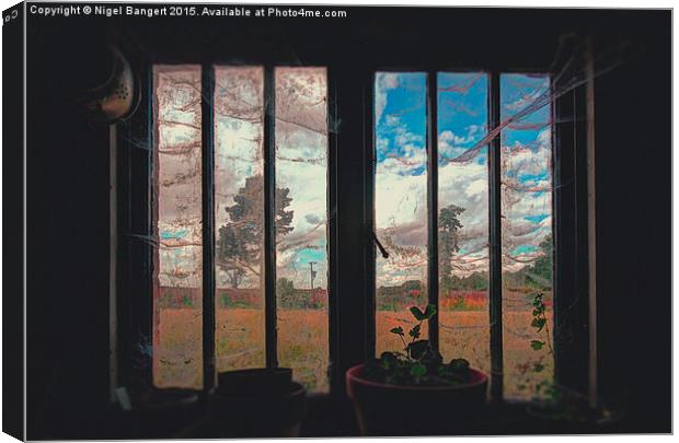  The Potting Shed Window  Canvas Print by Nigel Bangert