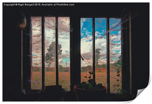 The Potting Shed Window  Print by Nigel Bangert