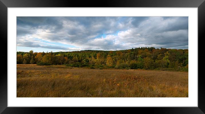 Autumn Colours Framed Mounted Print by Greg Marshall