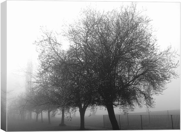 Winter mist Canvas Print by Chris Day