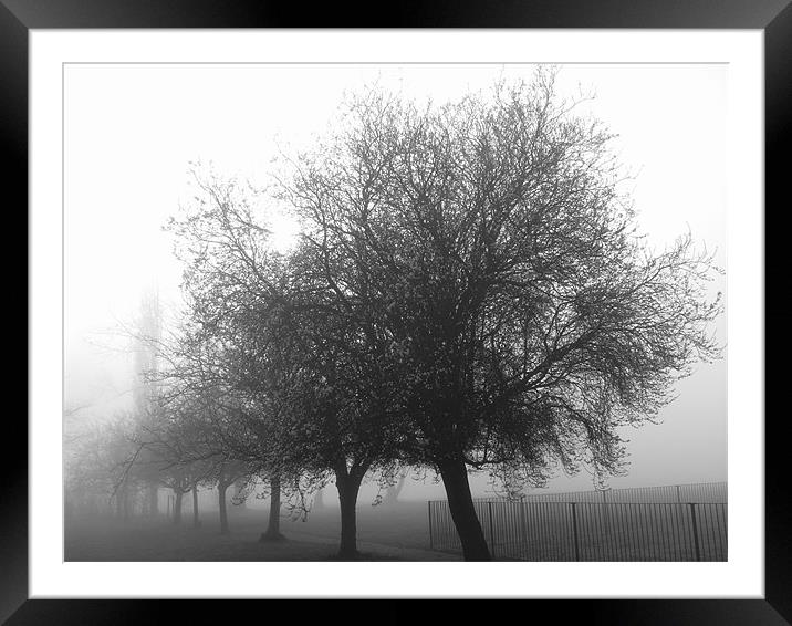 Winter mist Framed Mounted Print by Chris Day