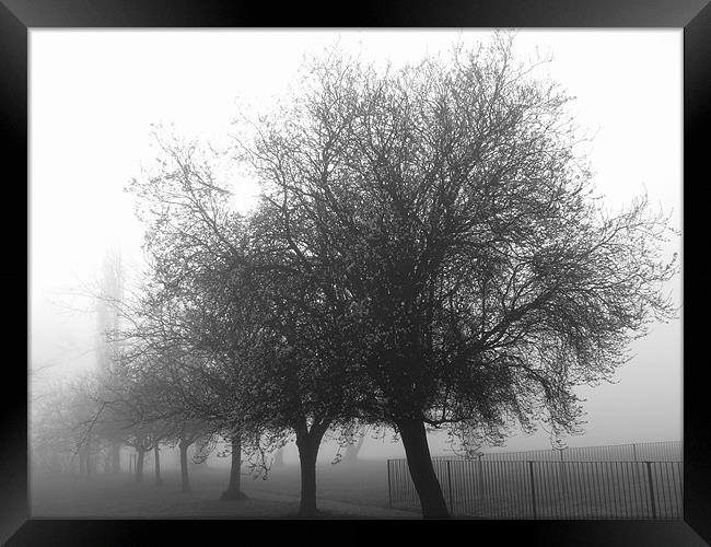Winter mist Framed Print by Chris Day
