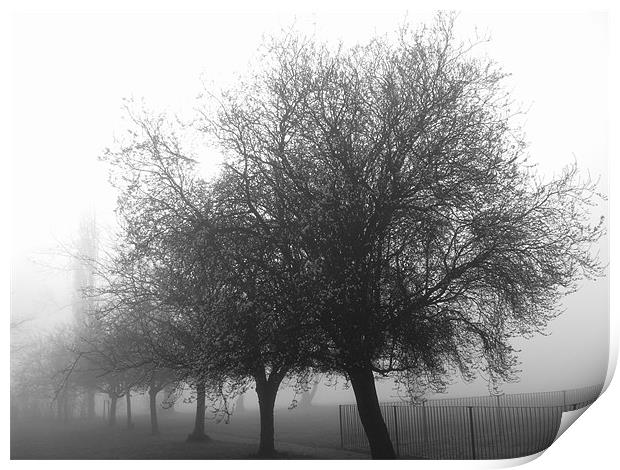 Winter mist Print by Chris Day
