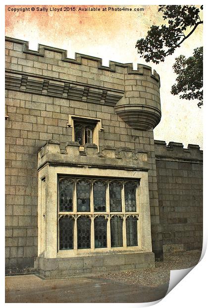  Castle window Print by Sally Lloyd