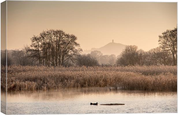  Somerset Levels on a Frosty Morning Canvas Print by Bob Small