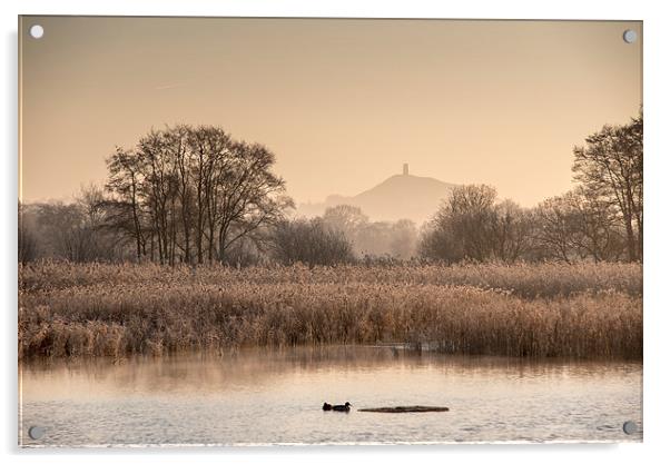  Somerset Levels on a Frosty Morning Acrylic by Bob Small