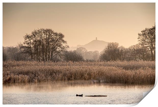  Somerset Levels on a Frosty Morning Print by Bob Small