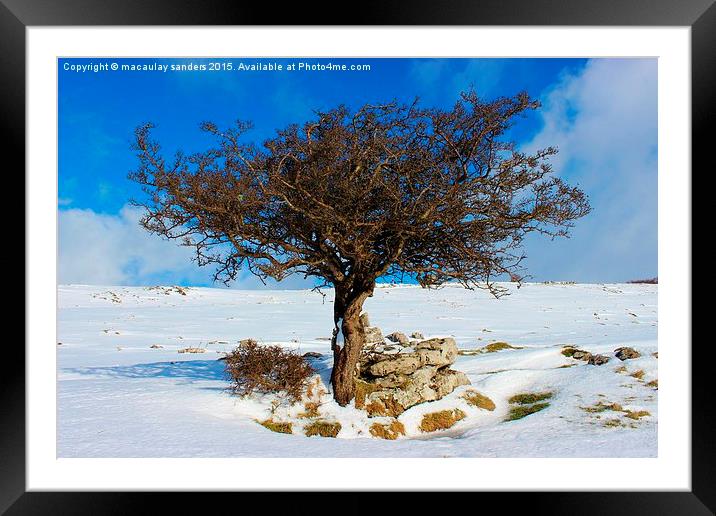  Wooden shelter  Framed Mounted Print by macaulay sanders