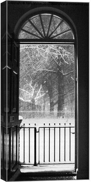 Winter view from a London doorway Canvas Print by Tony Maher