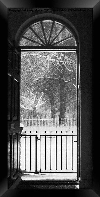  Winter view from a London doorway Framed Print by Tony Maher
