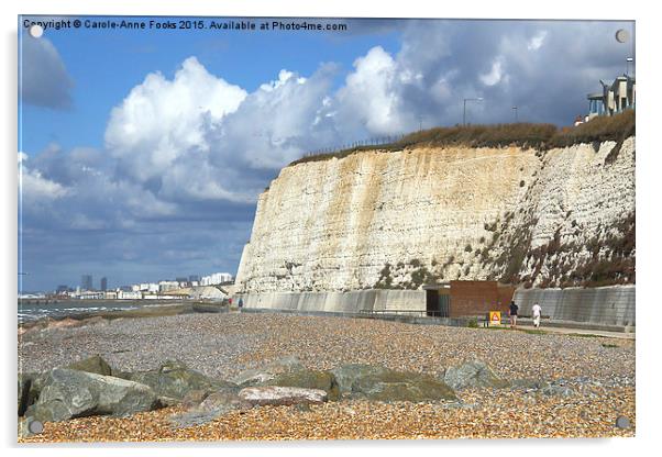  Chalk Cliffs at Saltdean East Sussex Acrylic by Carole-Anne Fooks