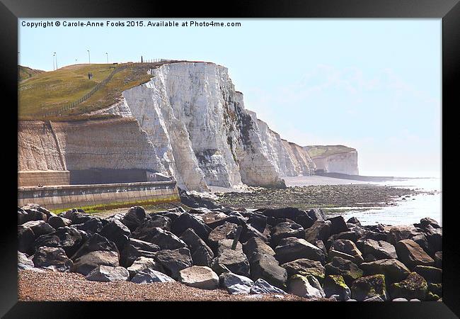  Chalk Cliffs at Saltdean East Sussex Framed Print by Carole-Anne Fooks