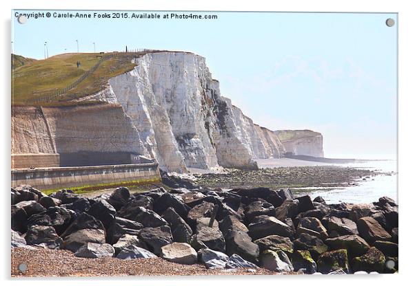  Chalk Cliffs at Saltdean East Sussex Acrylic by Carole-Anne Fooks