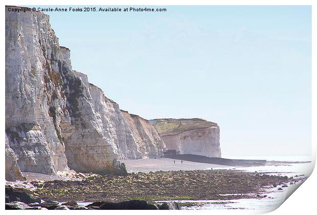  Chalk Cliffs at Saltdean East Sussex Print by Carole-Anne Fooks