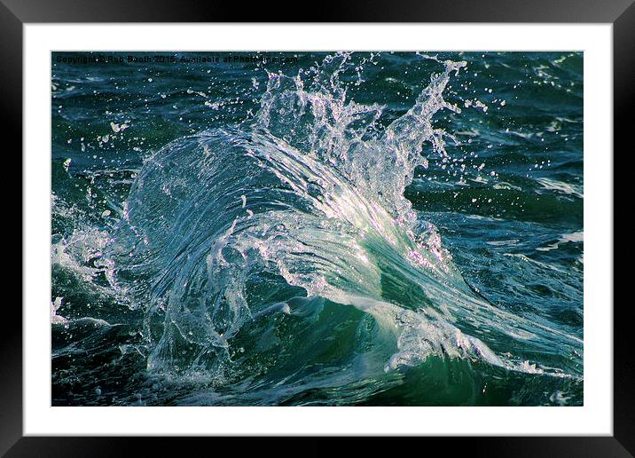  'Ocean Fan' Framed Mounted Print by Rob Booth