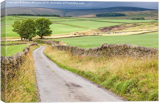 Country Lane, Derbyshire Canvas Print by Martyn Williams