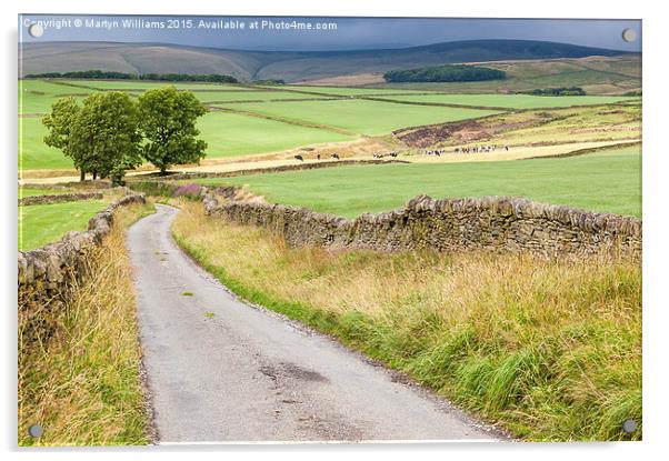 Country Lane, Derbyshire Acrylic by Martyn Williams