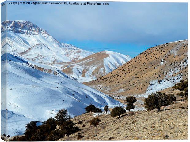 Another view of natural beauties of mountain, Canvas Print by Ali asghar Mazinanian