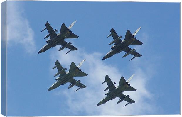 Fighting Formation Canvas Print by Randal Cheney