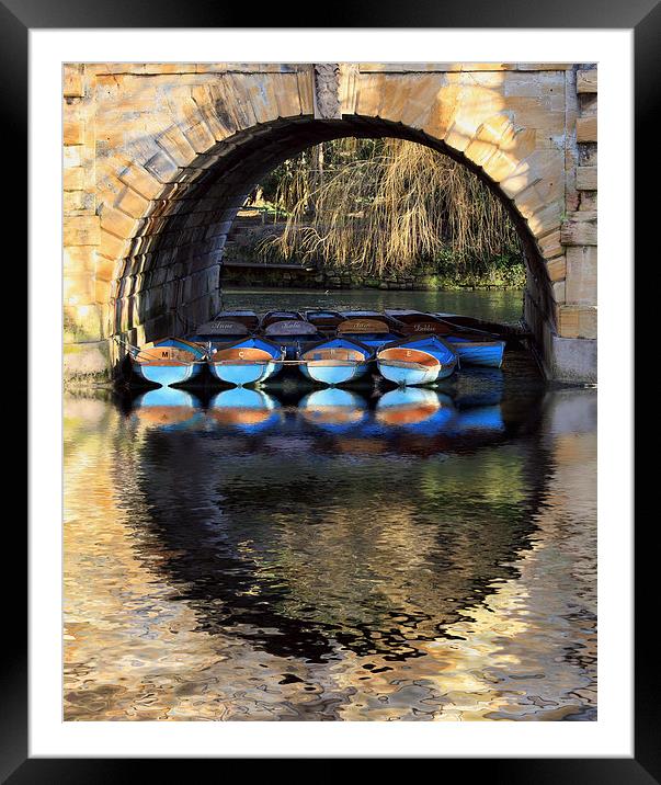 oxford rowing boats Framed Mounted Print by Tony Bates