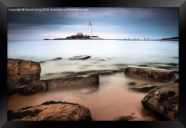  St Marys Lighthouse Framed Print by David Irving