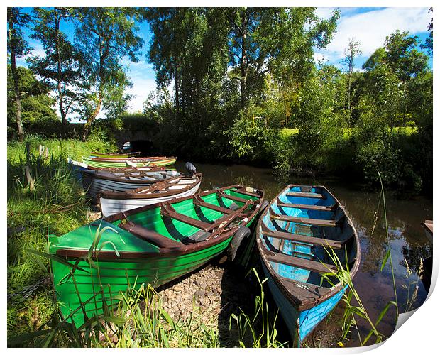  Irish Riverside Print by Simon Mills