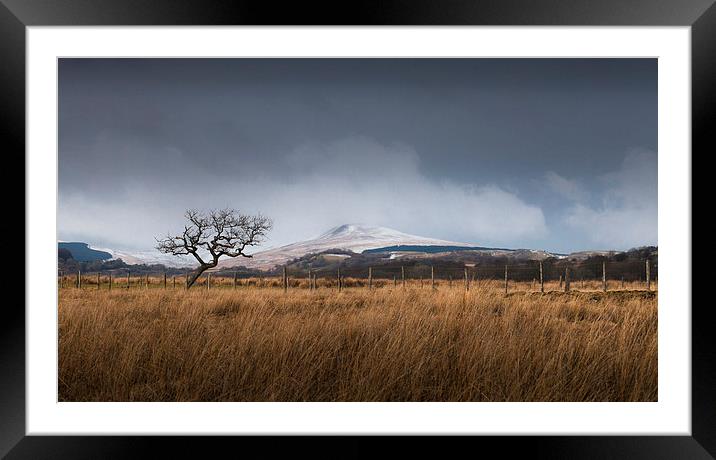  A tree on the Brecon Beacons Framed Mounted Print by Leighton Collins