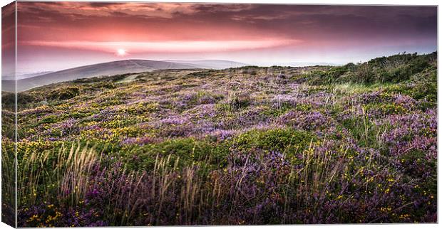  Gower sunset at Cefn Bryn Canvas Print by Leighton Collins