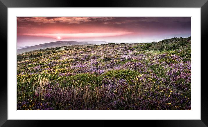  Gower sunset at Cefn Bryn Framed Mounted Print by Leighton Collins