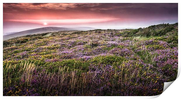  Gower sunset at Cefn Bryn Print by Leighton Collins