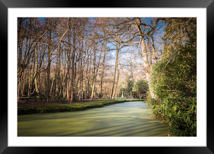  Stream at Fairhaven Framed Mounted Print by Stephen Mole