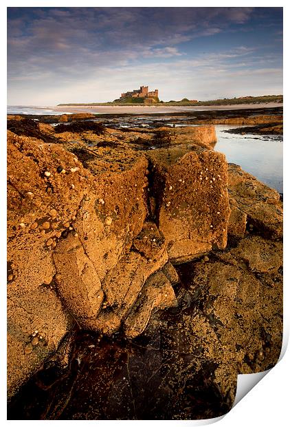  Bamburgh Castle, Northumberland Print by Dave Hudspeth Landscape Photography