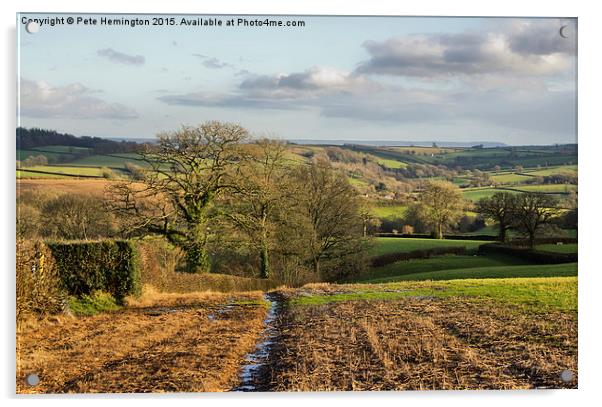 Rural Mid Devon Acrylic by Pete Hemington