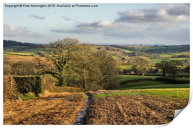  Rural Mid Devon Print by Pete Hemington