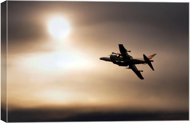 Harrier Sunset  Canvas Print by J Biggadike