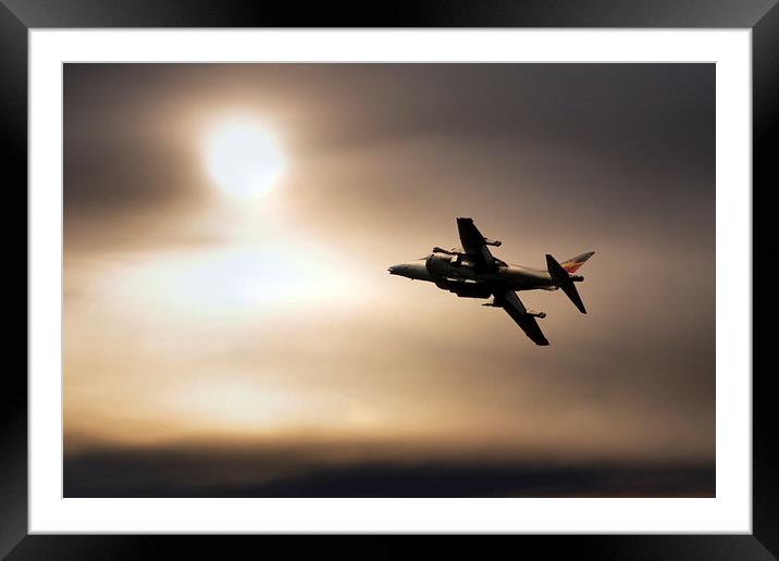 Harrier Sunset  Framed Mounted Print by J Biggadike