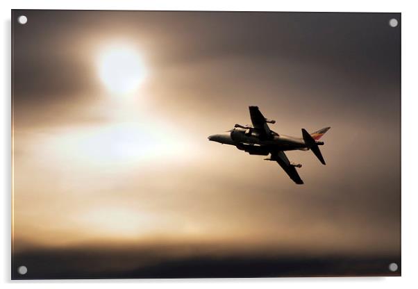 Harrier Sunset  Acrylic by J Biggadike