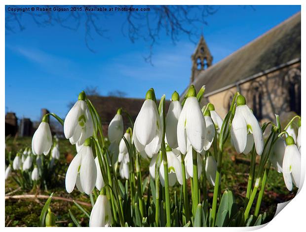  Snowdrops in the church Print by Robert Gipson