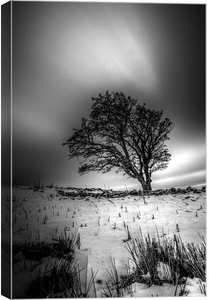  Cold and lonely. Canvas Print by Garry Kennedy