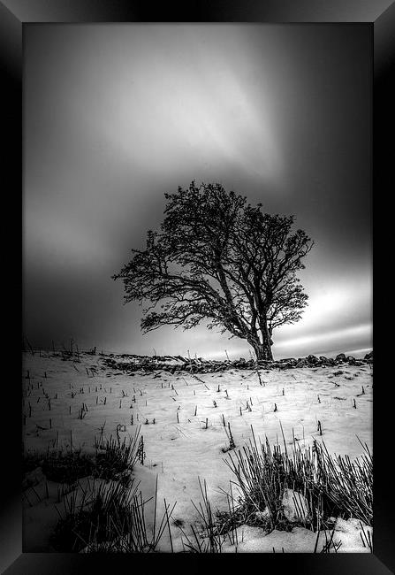 Cold and lonely. Framed Print by Garry Kennedy