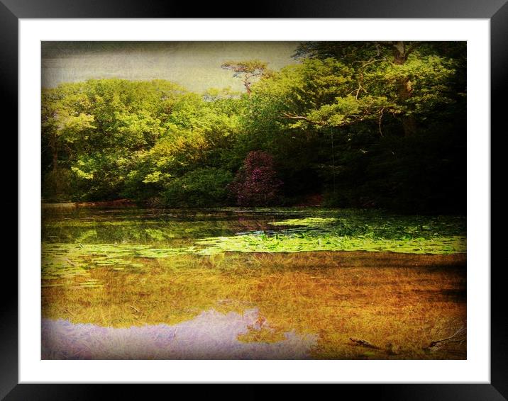  Still Waters. Framed Mounted Print by Heather Goodwin