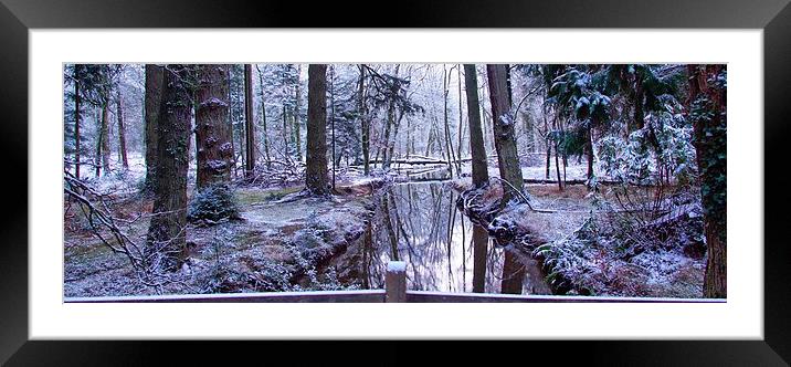 New Forest resting spot..Heaven on earth JCstudios Framed Mounted Print by JC studios LRPS ARPS